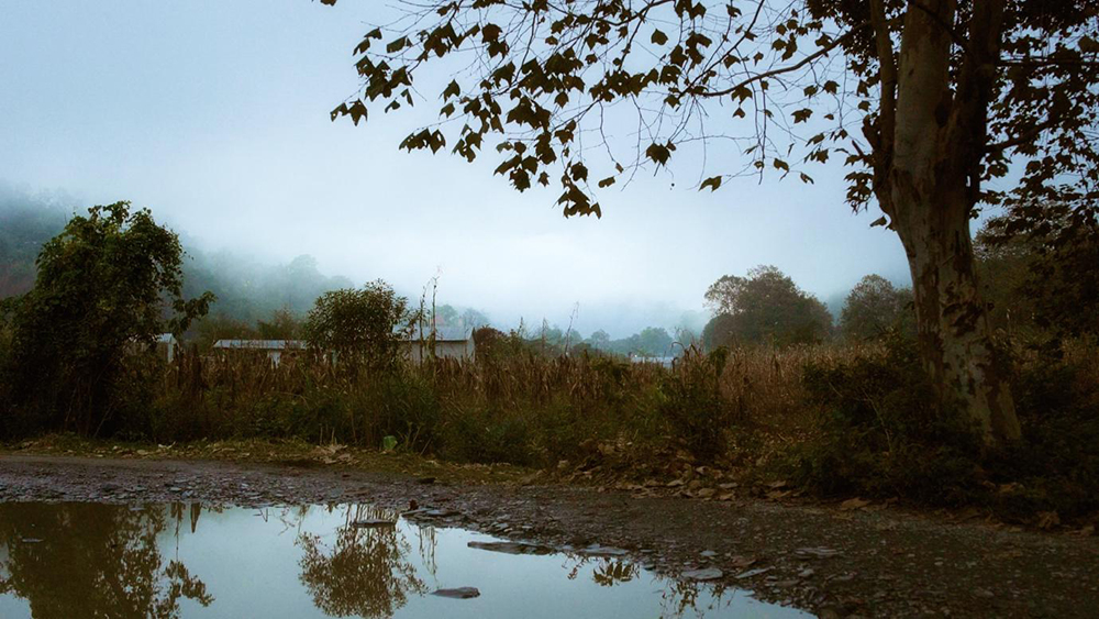 Figure 3: Still from El Edén Subvertido (The Subverted Eden). The mystical landscape of Mazatec land — where tradition remains tradition, not a lifestyle accessory. A territory shaped by ancestral continuity rather than imported enlightenment packages, spiritual rebranding, or extractive and gentrified “healing” economies so often marketed by wannabe-gurus and Western seekers in Mexico, Peru, and other Latin American regions. As poignantly echoed in Scorsese’s Killers of the Flower Moon: “Whose land is this?” — “My land,” replies one of the original people.